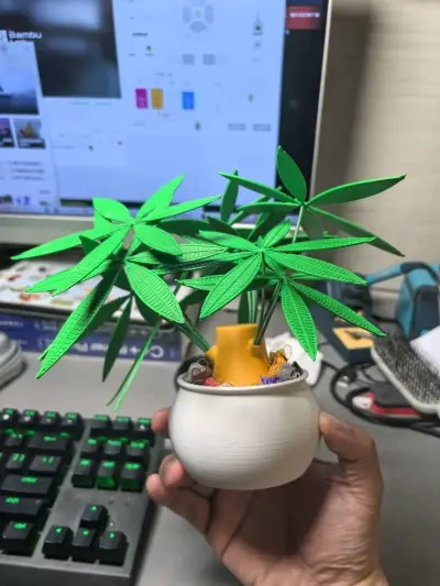 发财树盆栽 - 免费 3D 打印模型 - MakerWorld