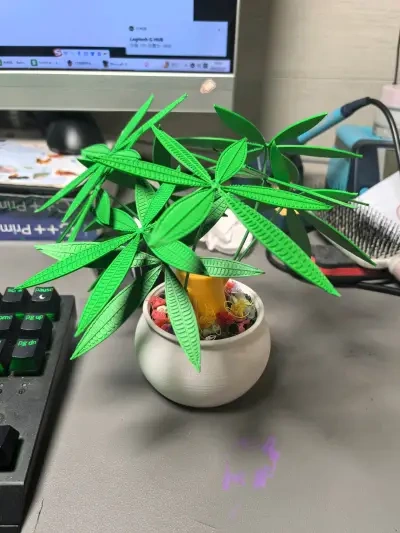 发财树盆栽 - 免费 3D 打印模型 - MakerWorld