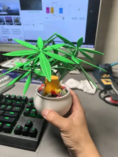 发财树盆栽 - 免费 3D 打印模型 - MakerWorld
