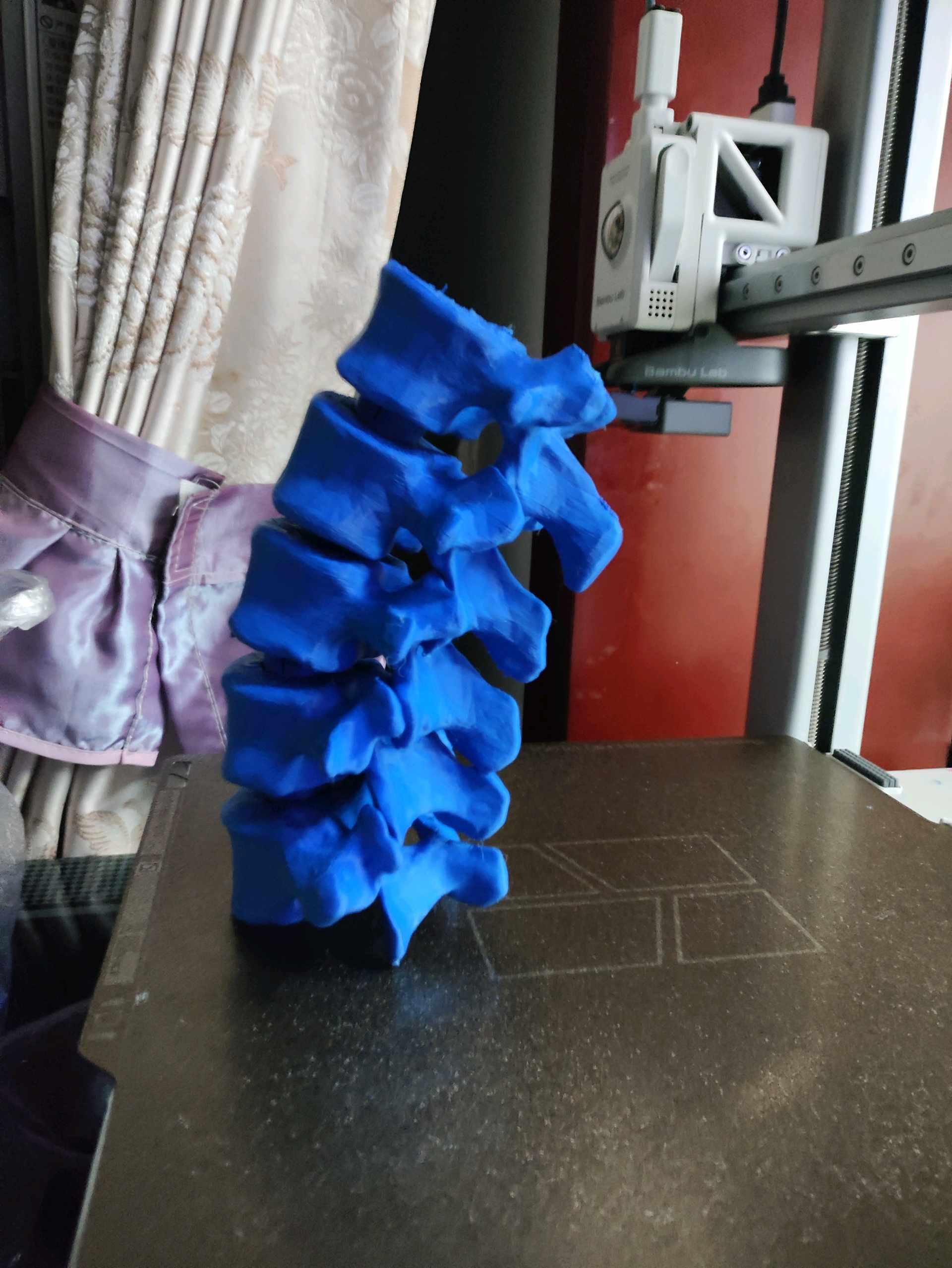 可动腰椎脊柱- 免费3D 打印模型- MakerWorld