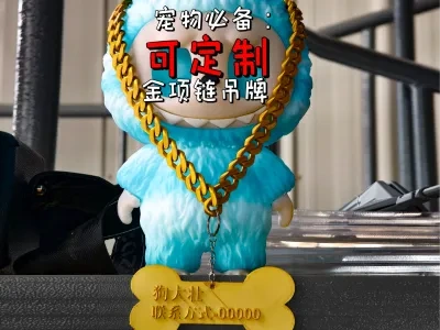 宠物必备：金项链吊牌（可改名定制）