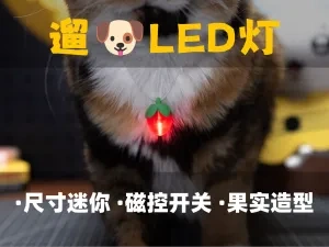 迷你磁控LED夜间遛狗灯