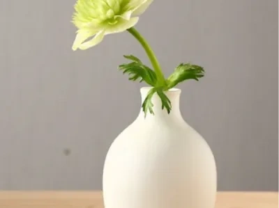 好看花瓶