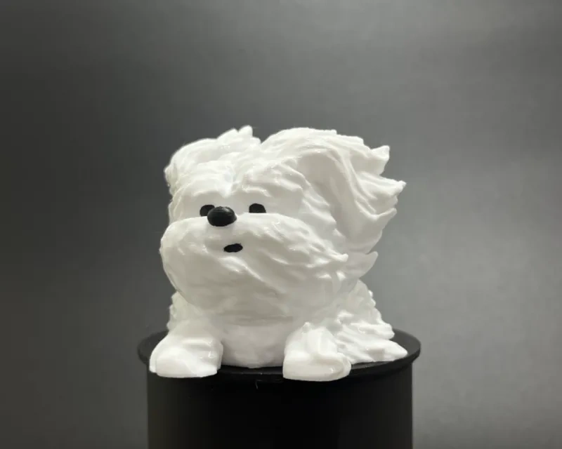 潦草小狗风中凌乱
