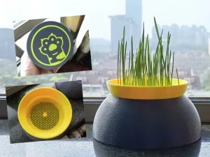 防翻到宠物水碗 猫草水培盆 