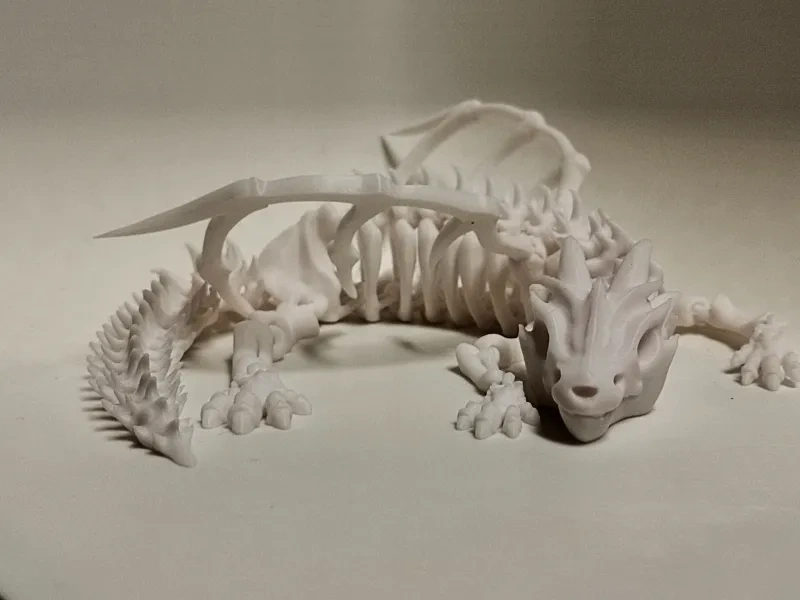 可活动关节的骨骼龙