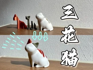 三花猫 