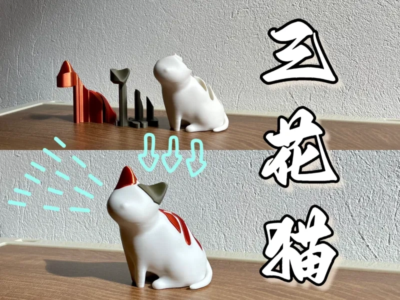 三花猫 