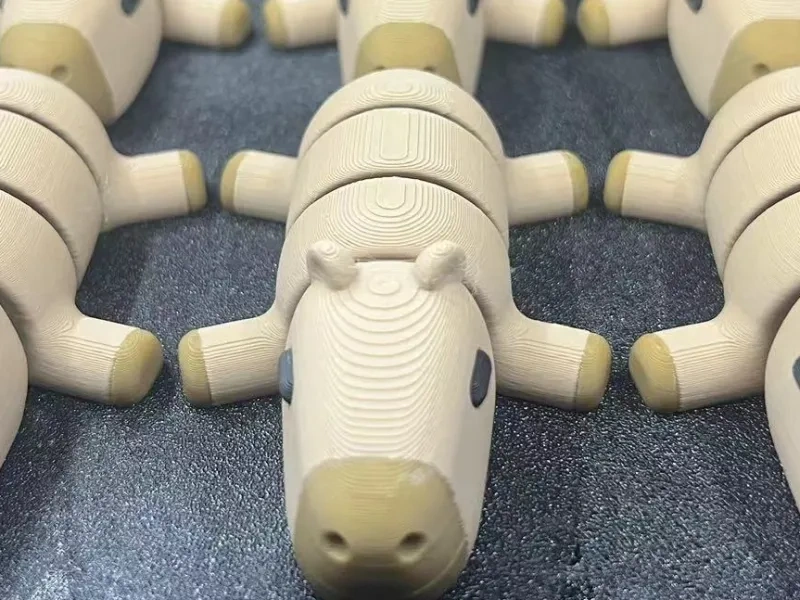 关节卡皮巴拉