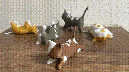 拼色猫