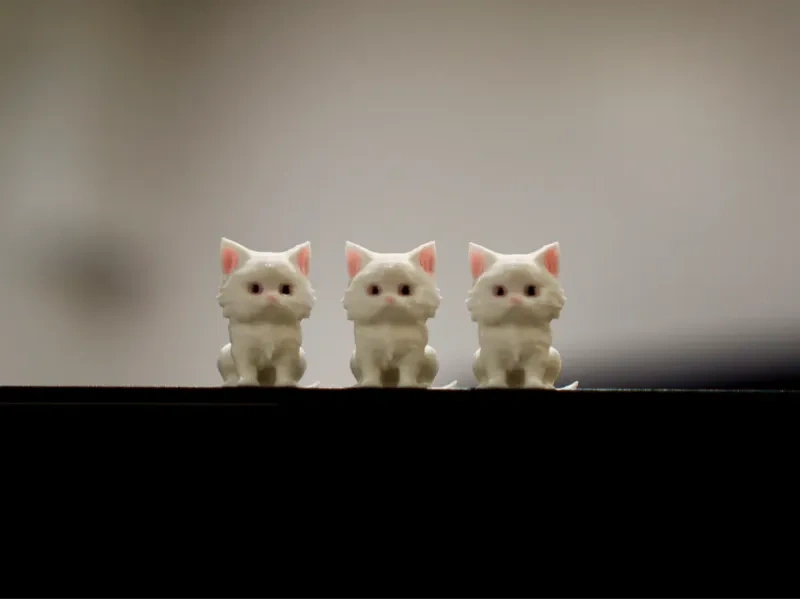 可爱的小猫