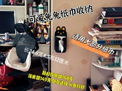 好看的兔子纸巾盒 