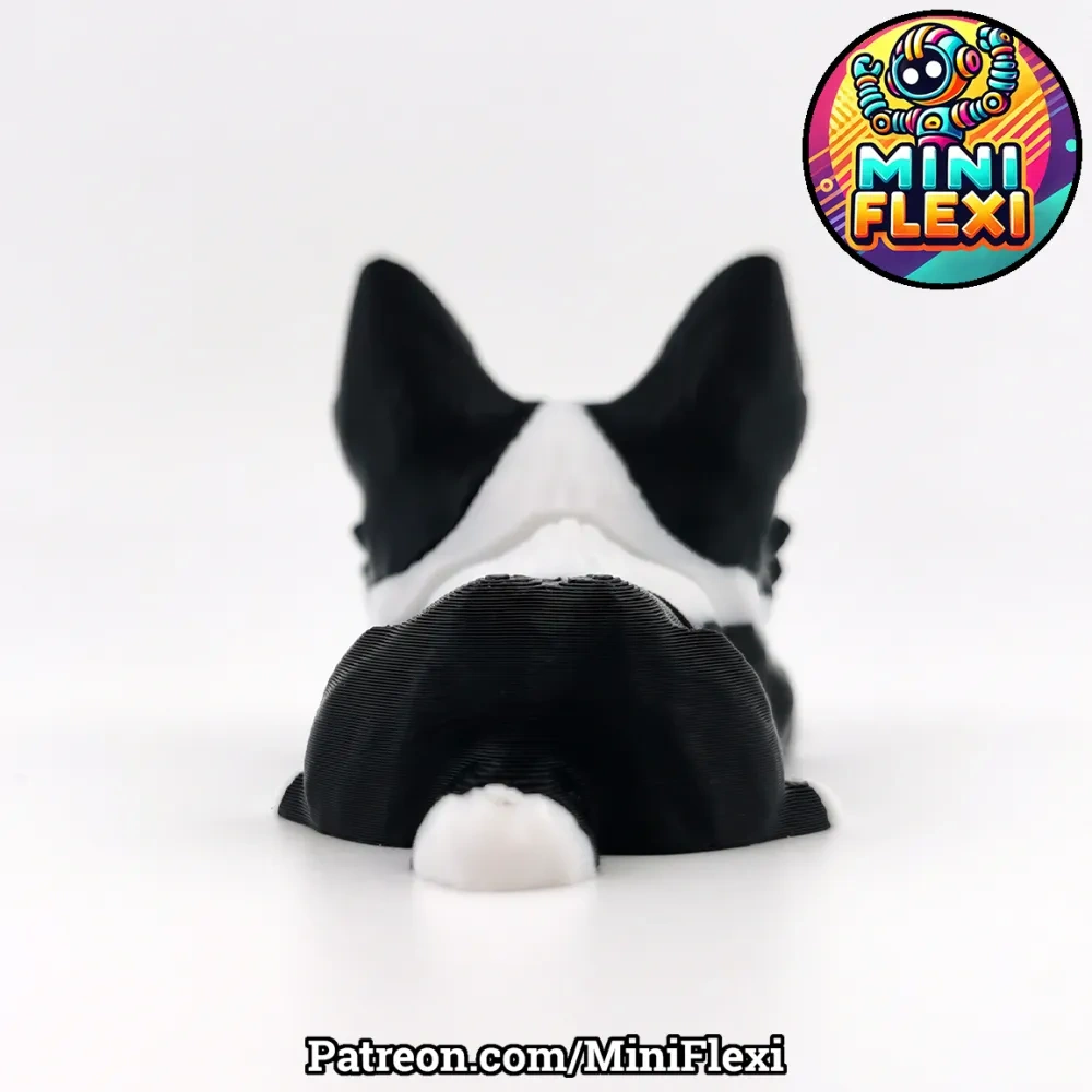 迷你可动边境牧羊犬模型 - 无需支撑 来自 Mini Flexi MakerWorld:免费下载 3D 模型