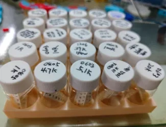 29cm圆形收纳
