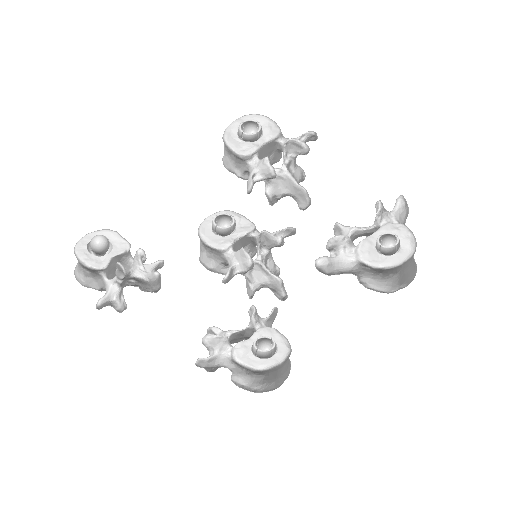 可动腰椎脊柱- 免费3D 打印模型- MakerWorld