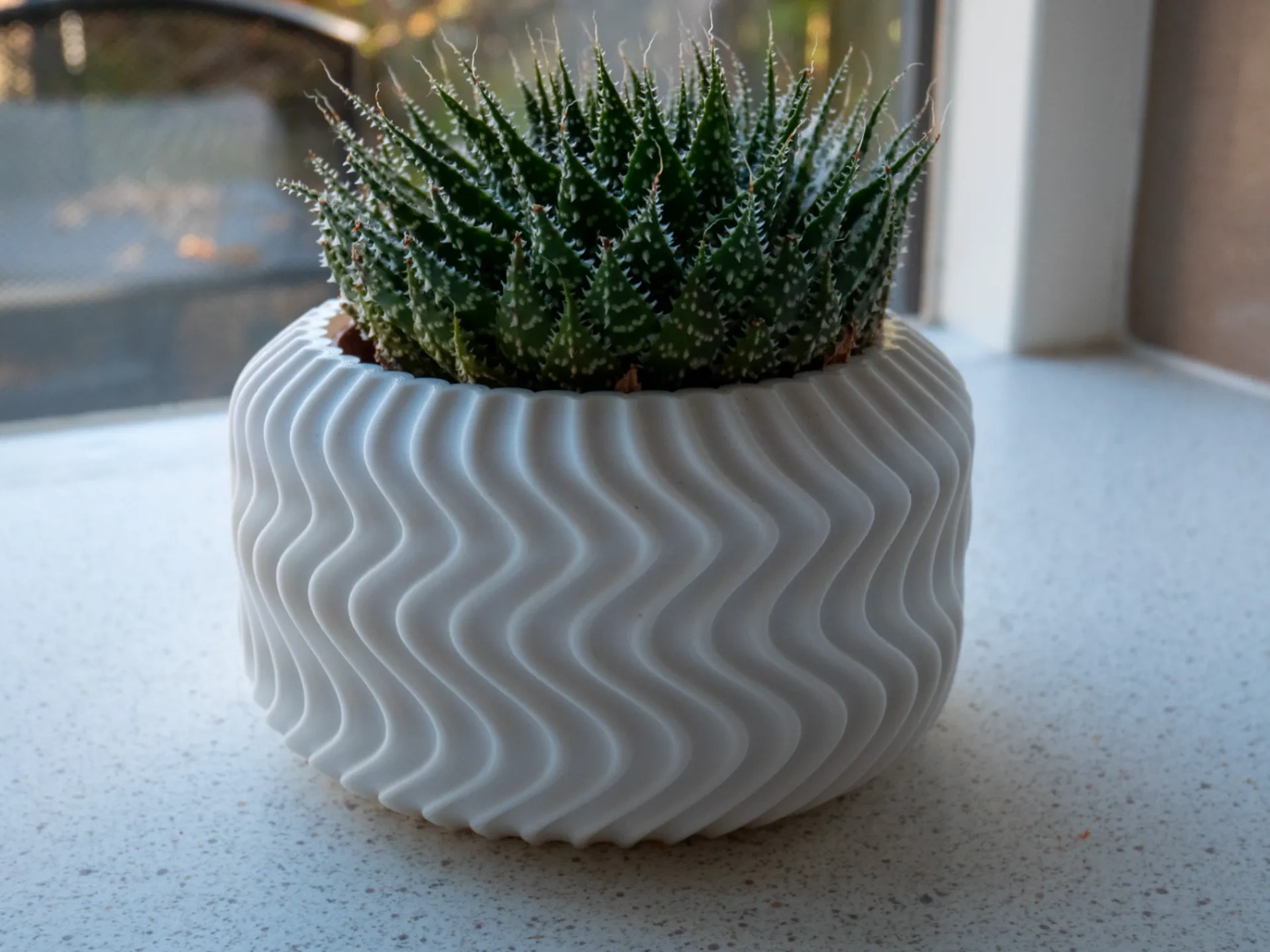 Wavy Plant Pot 来自 Maerc MakerWorld