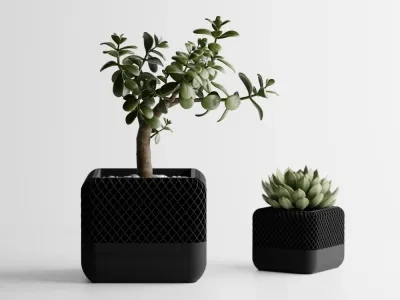 现代方形苹果家庭音箱风格植物盆花瓶
