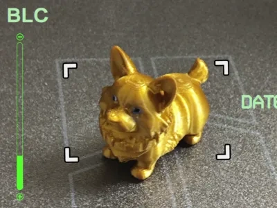 柯基柯基，萌翻天的卡哇伊！
