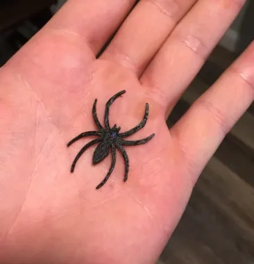 3D Printed Spider