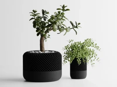 现代苹果Home Pod风格的植物盆花瓶