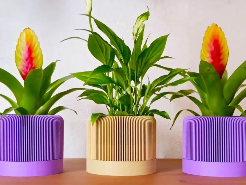 现代棱纹花瓶_可拆卸植物托盘