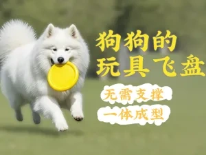 狗狗的玩具飞盘