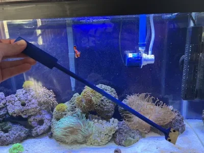 长臂水族馆刮刀