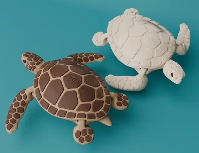 可活动的海龟（单色和多色）