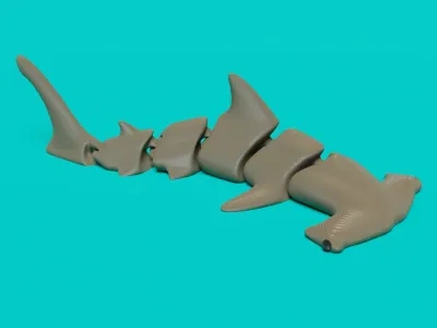 可动的双髻鲨