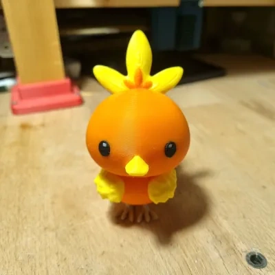Pokemon彩色火稚鸡