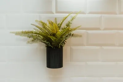 带有墙壁安装的植物盆和集成的滴水托盘