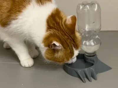 猫咪喝水池 / Cat drinking pond