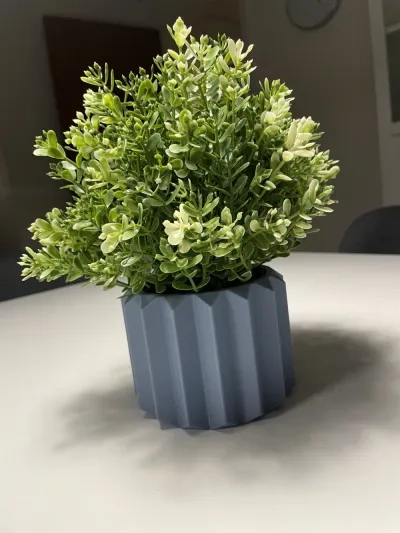 植物/花朵的盆/花瓶