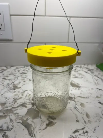 宽口玻璃罐的黄蜂/马蜂捕捉器