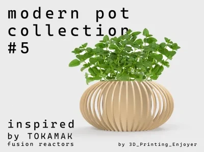 现代盆栽系列#5 - 受到托卡马克设计的启发。