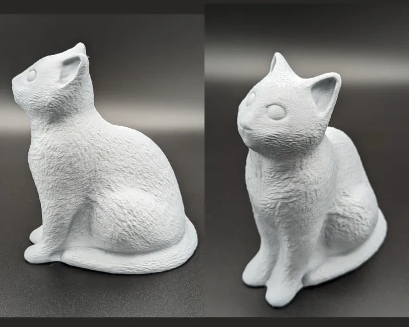 坐着的猫