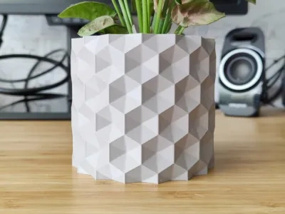 倒置的六边形植物盆栽-花瓶模式