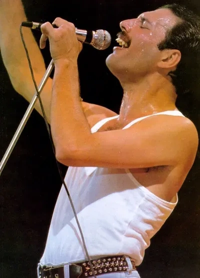 Freddie Mercury HueForge 艺术模型的打印配置说明
