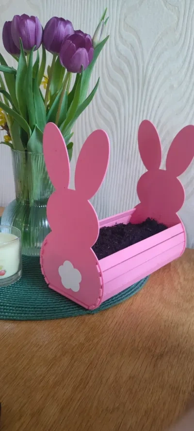 兔子花盆