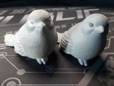 鸟类3D扫描
