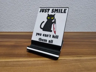 "JUST SMILE" - The Frame 封面