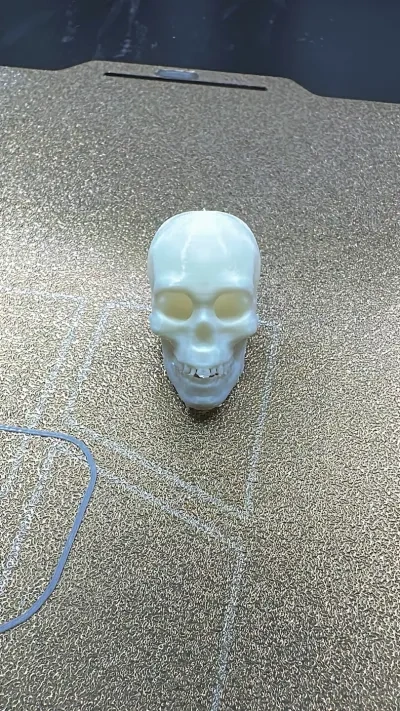 Skull骷髅头