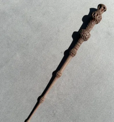 哈利波特的长老之杖