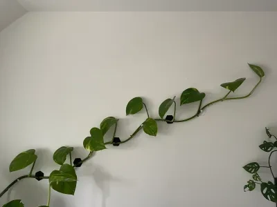 植物墙挂钩