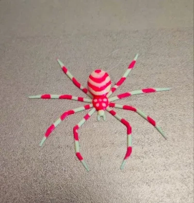 珊瑚蜘蛛
