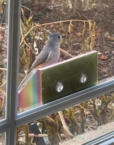 窗户鸟食盒
