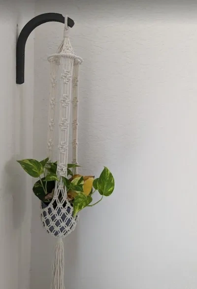 优雅的植物墙挂钩