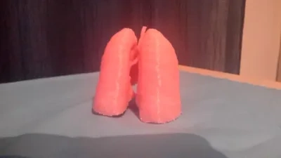 肺3D模型