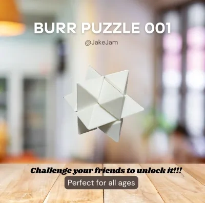 Burr Puzzle：八边形锁