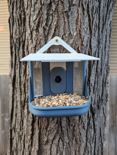 BirdBrain: 智能鸟喂食器 - DIY鸟伙伴